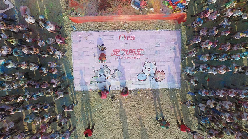 有寵網(wǎng)絡“青春不留白”彩色跑